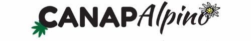 Canapalpino